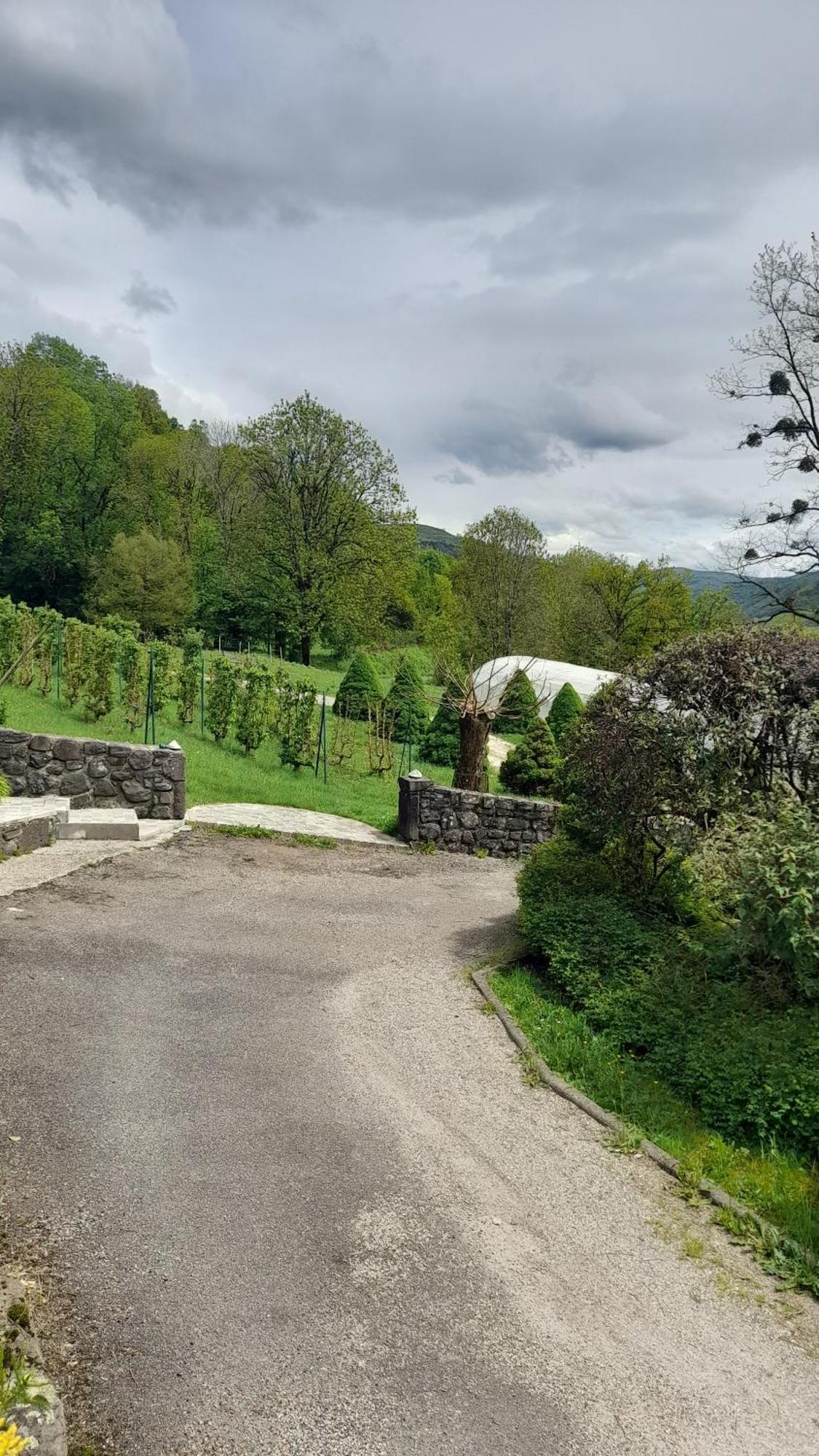 Chambre D'Hote Dans Le Cantal Vallee De La Maronne Saint-Martin-Valmeroux Екстер'єр фото